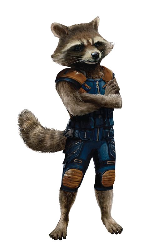 rocket raccoon wikipedia|rocket raccoon abilities.